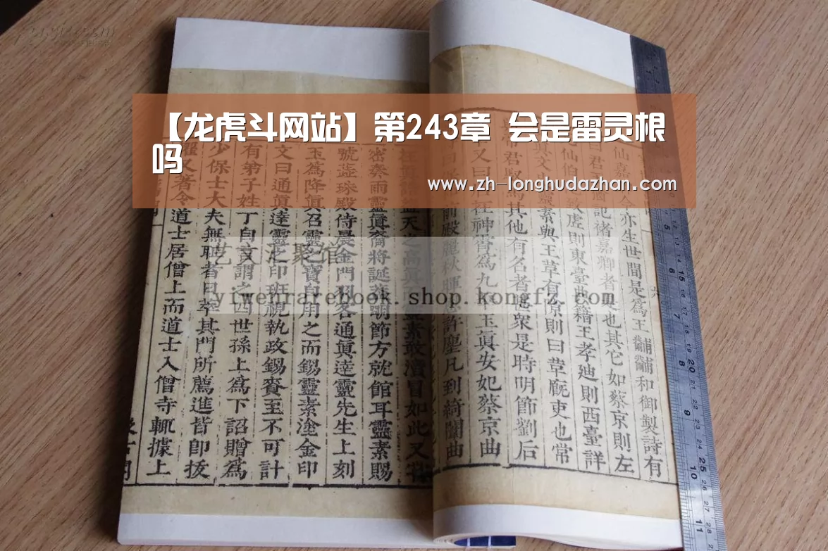 龙虎斗网站