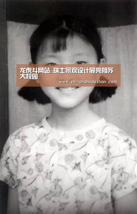 龙虎斗网站