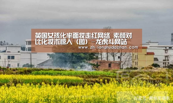 龙虎斗网站