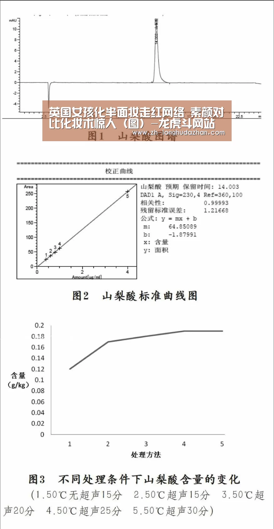 龙虎斗网站