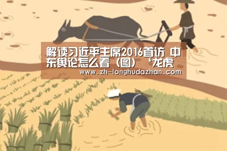 解读习近平主席2016首访 中东舆论怎么看（图）‘龙虎斗网站’